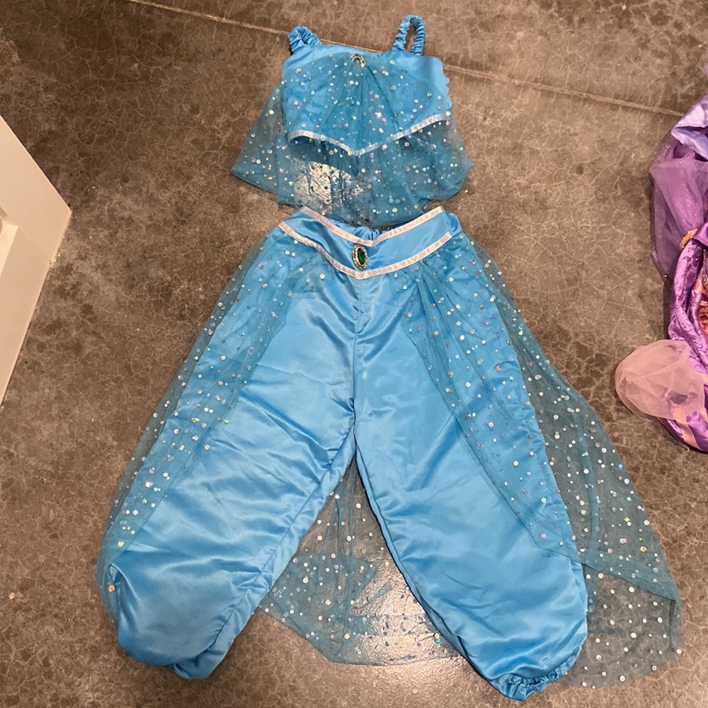 Trish Scully Jasmine Costume